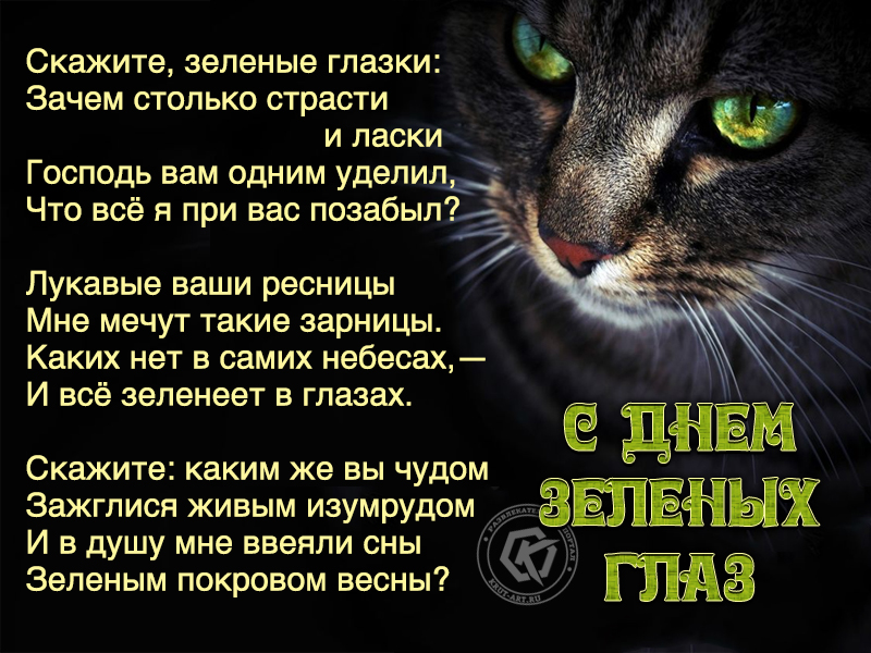 Скажи зеленую. С днем зеленых глаз поздравления. День зеленых глаз открытки. Стихи про зеленые глаза. Зелёные глаза стихи красивые.