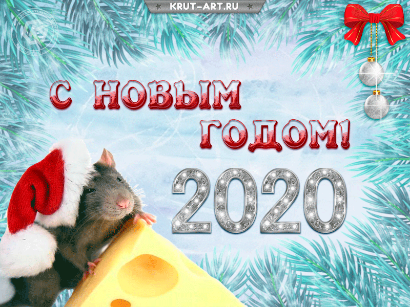 Встреча Нового 2020 года! S-novym-2020-godom