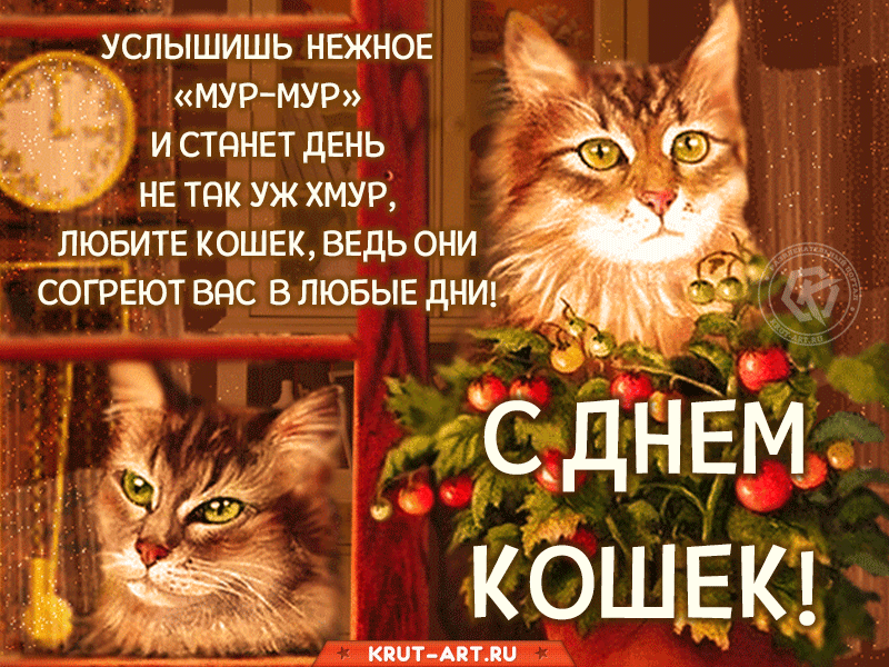 Картинки с Днем кошек (50 открыток): скачать бесплатно