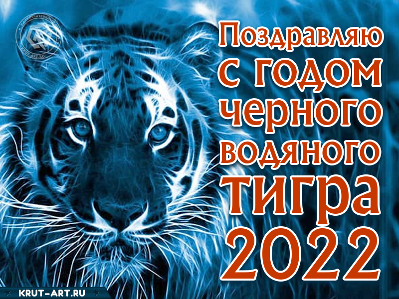 2022 год черного водяного тигра