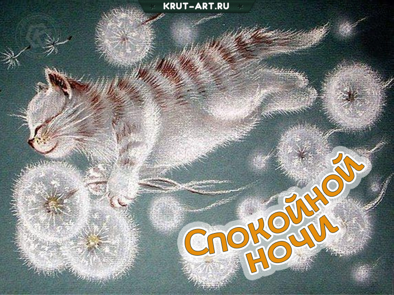 Спокойной ночи открытка с котом и одуванчиками