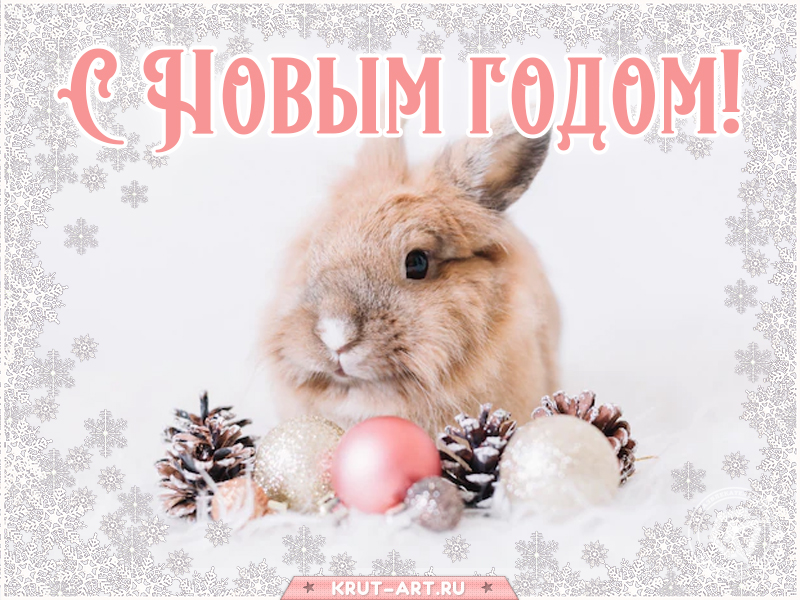 С Новым годом кролика открытка