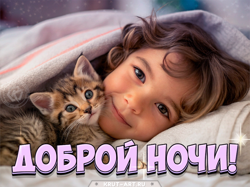 Спокойной ночи от малыша и котёнка!